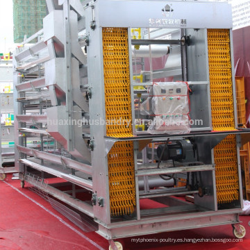 Equipos automáticos de recogida de huevos en jaula de pollo